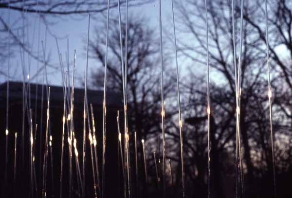 Twirling Walkway Zoras Garden Lore Stephan