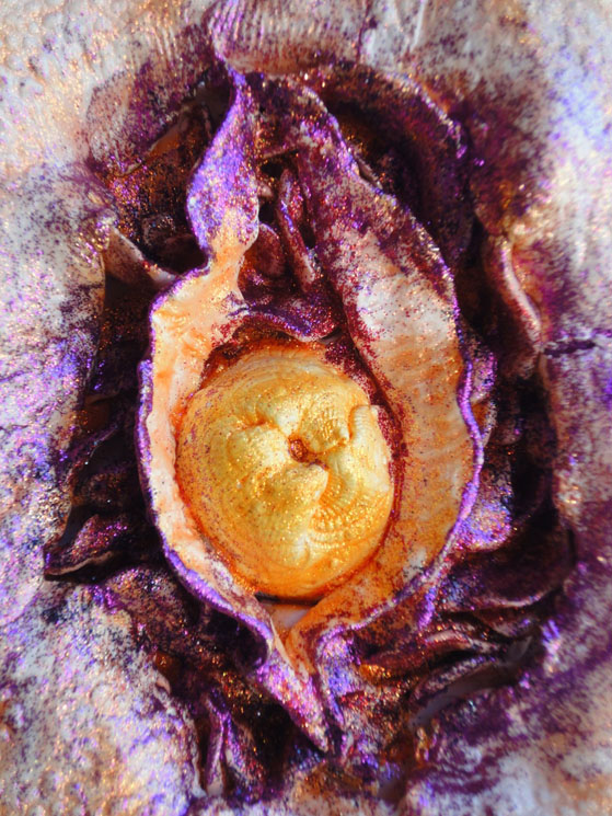 Holy Os by Zoras Garden Lore Stephan